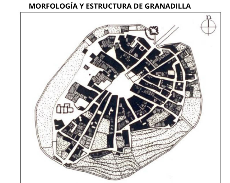 Morfología y estructura de Granadilla (1955)