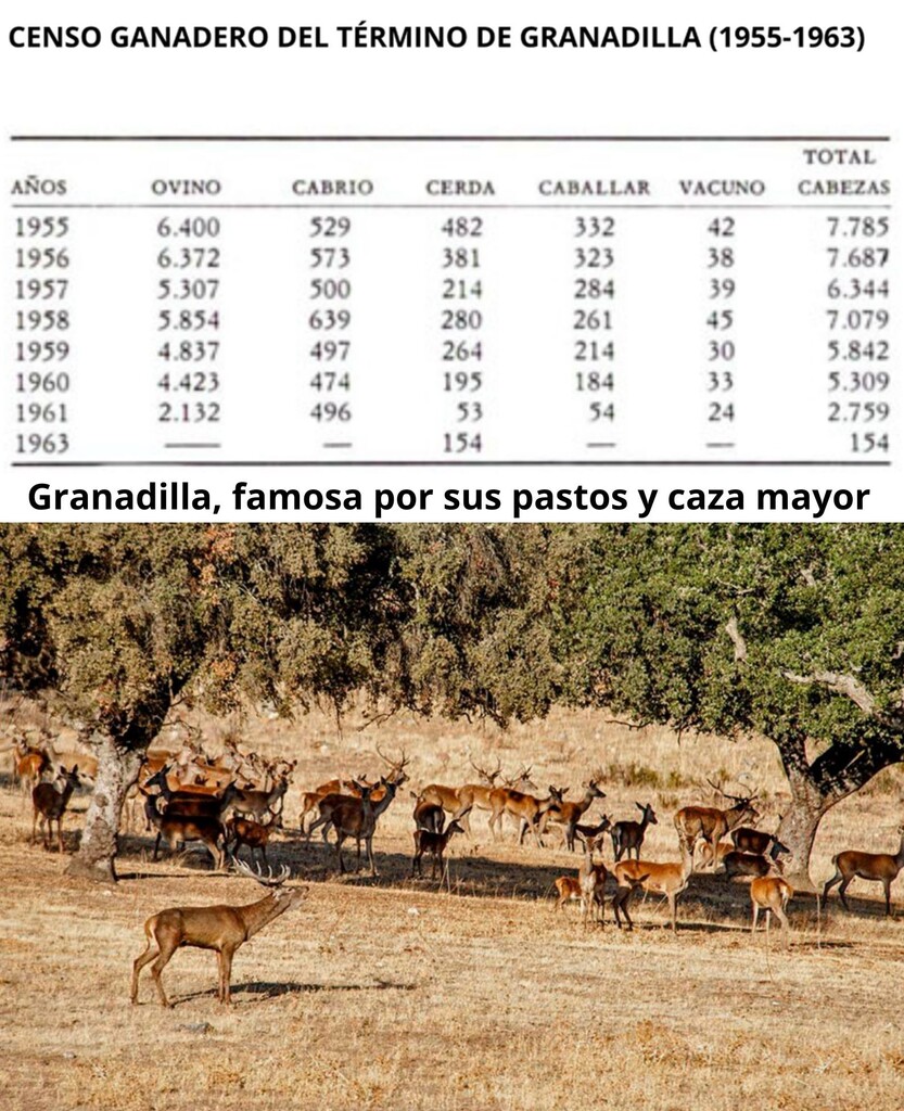 Granadilla, famosa por sus pastos y caza mayor