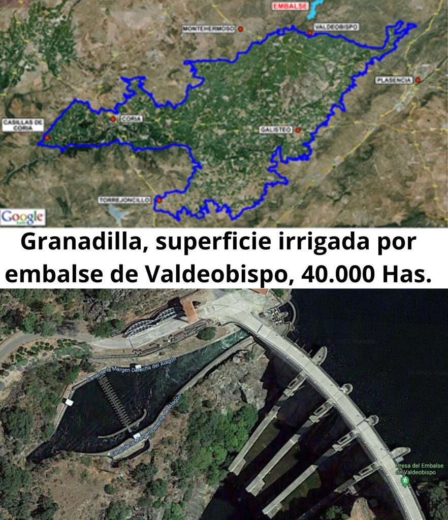 Granadilla, superficie irrigada por embalse de Valdeobispo, 40.000 Has.
